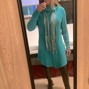 Womens turtleneck sweater dress.